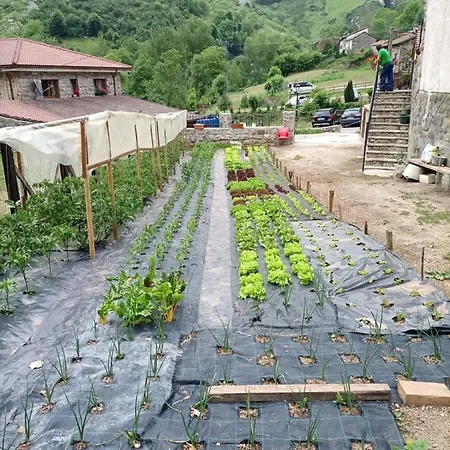 Pensión Casa Cuevas *