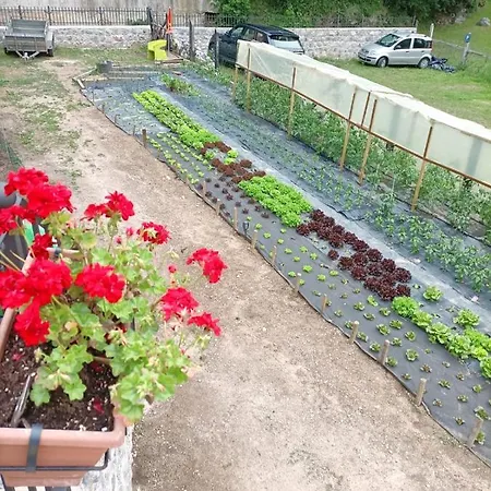 Vendégház Casa Cuevas 3*