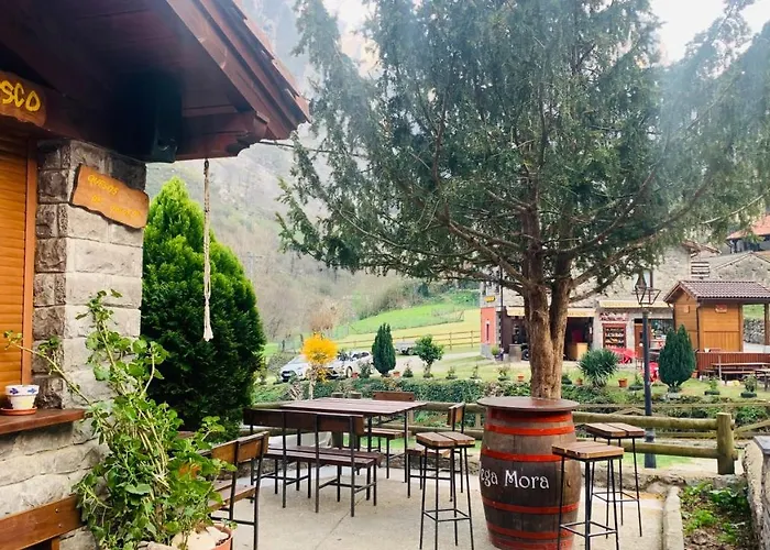 게스트하우스 Casa Cuevas