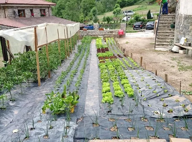 게스트하우스 Casa Cuevas 3*