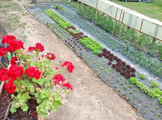 게스트하우스 Casa Cuevas 3*