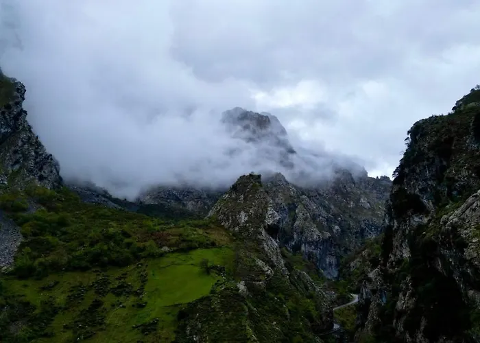 Casa Cuevas 게스트하우스 3*